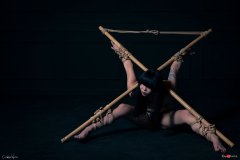 Bo Shibari