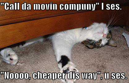 moving_day